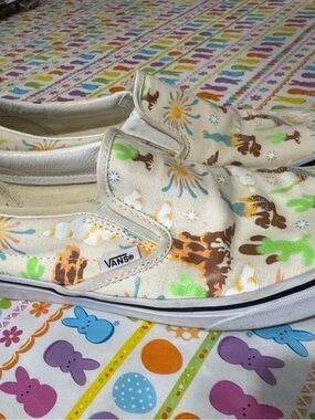 Vans Slip-On Shoes in Cream with Colorful Desert Print